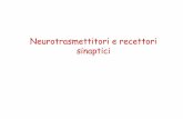 Neurotrasmettitori e recettori sinaptici Didattico/Fisiologia (Grassi)/2014... · Sintesi neurotrasmettitori peptidici I precursori sono trasportati in vescicole lungo i microtuboli