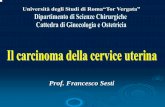 Prof. Francesco Sesti - uniroma2.it · Carcinoma della Cervice Uterina Basandosi su forti evidenze epidemiologiche, supportate da risultati sperimentali di base, non vi è alcun dubbio
