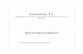 Lezione 11 key 12 - ispezioneperugia.it · Lezione 11 sarcosporidiosi, cisticercosi, trichinellosi, echinococcosi/ idatidosi Sarcosporidiosi • Sarcocystis: cisti nei muscoli