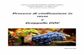 Processo di vinificazione in rosso e Groppello DOCacssantomaso.altervista.org/wp-content/tesine-1415/ravaglia... · VINIFICAZIONE Raccolta dell’uva Procedimento che può cominciare