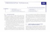 ENDOSCOPIA TORACICA 11 - flore.unifi.it · lavaggio bronchiolo-alveolare (BAL), gli agoaspirati transbronchiali (TBNA, TransBronchial Needle Aspiration), la broncoscopia ad autoﬂ
