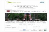 RELAZIONE TECNICA - Home Valutazione degli effetti Ambientalivalutazioneambientale.regione.basilicata.it/... · 2013-03-13 · cettive come campeggi, aziende agrituristiche, bed&breakfast,