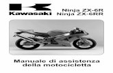 Ninja ZX-6R Ninja ZX-6RR - .Ninja ZX-6R Ninja ZX-6RR Manuale di assistenza della motocicletta Tuti