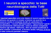 Presentazione standard di PowerPoint - SCIENZE …sfp.unical.it/modulistica/exursus storico_c.pdfI neuroni a specchio: la base neurobiologica della TOM I neuroni specchio sono una