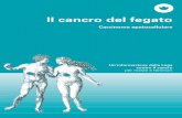 Il cancro del fegato – Un'informazioneassets.krebsliga.ch/downloads/3064.pdf · e pancreas f stomaco g milza Cancro del fegato Spesso si confondono il cancro del fegato e le metastasi