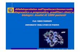 Alfafetoproteina nell’epatocarcinoma:ruolo diagnostico e ... Point/ALFAFETOPROTEINA.pdf · • Epatopatie croniche virali • Abuso alcolico • Malattie metaboliche (emocromatosi,