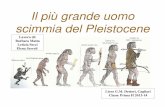 Il più grande uomo scimmia del Pleistocene - Liceo Statale … · 2014-06-06 · Il più grande uomo scimmia del Pleistocene Lavoro di: Barbara Matta Letizia Secci Elena Serreli