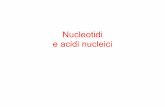 Nucleotidi e acidi nucleiciinfermieristica.polodidatticopanico.com/wp-content/uploads/sites/2/... · DNA RNA PROTEINE trascrizione traduzione trascrizione inversa (retrovirus) Gli