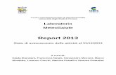 Report 2013data.biometeo.it/reports/report_MeteoSalute_2013.pdf · benessere che caratterizzano ... Mugello Borgo San Lorenzo Amiata ... pubblicato all’interno del supplemento informatico
