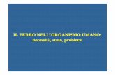 IL FERRO NELL’ORGANISMO UMANO: necessità, stato, problemiusers.unimi.it/monticy/dida/12.02 Ferro.pdf · b. componente strutturale/funzionale dell’emoglobina (globulo rosso) e