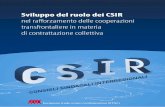 nel rafforzamento delle cooperazioni transfrontaliere in ... · Sviluppo del ruolo dei CSIR nel rafforzamento delle cooperazioni transfrontaliere in materia di contrattazione collettiva