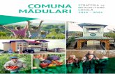 Strategia de dezvoltare locală a Comunei Mădulari pentru ... · Strategia de dezvoltare locală a Comunei Mădulari pentru perioada 2016-2024 3 Strategia de Dezvoltare Locală a