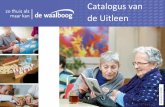 Catalogus van de Uitleen - waalboog.nl Uitleen Nijevelt juni... · De gezichten en het raden van de namen is het belangrijk het verleden te laten herleven door de gezichten te verbinden