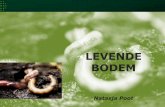 Levende bodem - Eurofins Agroeurofins-agro.com/nl-nl/sites/default/files/Levende-bodem-Natasja... · Pathogenen: goede en slechte schimmels Mycorrhiza . Bodemvoedselwebanalyse Protozoa