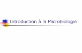 Introduction à la Microbiologie - cours-examens.orgcours-examens.org/images/An-2018/Etudes-superieures/Biologie/... · Les microbes = micro-organismes Les microbes :bactéries, virus,