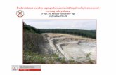 Środowiskowe aspekty zagospodarowania złóż kopalin …geoportal.pgi.gov.pl/css/powiaty/prezentacje/warsztaty... · 2013-11-19 · mo żliwe zanieczyszczenie wód ... zanieczyszczenie