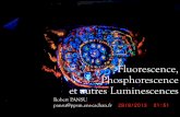 Fluorescence, Phosphorescence et autres Luminescencese2phy.in2p3.fr/2013/presentations/e2phy2013_Pansu.pdf · Plan Ce que l’on voit Introduction historique Diagrammes d’énergie