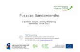 Puszcza Sandomierska - rzeszow.rdos.gov.plrzeszow.rdos.gov.pl/files/artykuly/21758/i_puszczasandomierska_kk.pdf · Puszcza Sandomierska ”Żbik” Konrad Kata Koordynatorprojektu