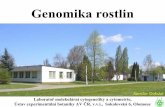 Genomika rostlin - Učená společnost České republiky · Genomy obilovin jsou mnohem vět ...