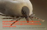 Epidemiologija Lyme borelioze in klopnega meningo ... · Lyme borelioza - prijavne incidenčne stopnje po upravnih enotah na Gorenjskem v letih 2000-2011. Endemična območja klopnega