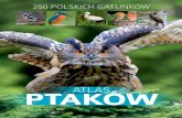 ptaków - Publio.pl · Książka kierowana jest do wszystkich zainteresowanych ... trójpalczasta, bernikla rdzawoszyja czy biegus morski, pod- czas ...