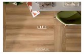 LIFE - Spec Ceramicsspecceramics.com/Collection-Brochures/456_Life_Brochure.pdf · LifE è la bellezza di abitare spazi naturalmente. È il piacere di ... Avec le grand format en