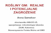 ROŚLINY GM: REALNE I POTENCJALNE ZAGROŻENIEbezposrednioodrolnika.pl/wp-content/uploads/2017/07/rosliny.pdf · Powstawanie chwastów opornych na glifosat Zwiększona presja i degradacja