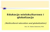 Edukacja wielokulturowa i globalizacja - wnsap.ajd.czest.plwnsap.ajd.czest.pl/wns/ifsp/prezentacje/Edukacja_wielokulturowa.pdf · Nierówności społeczne w edukacji (Social inequality