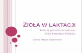 ZIOŁA W LAKTACJI - laktacja.org.pllaktacja.org.pl/wp-content/uploads/2016/10/BBlazyca-Szczerbowska... · ZIOŁA W LAKTACJI Zioła w pobudzaniu laktacji. Zioła hamujące laktację.