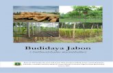 Budidaya Jabon - dlhk.bantenprov.go.id · Pemuliaan Tanaman Hutan (BBPBPTH) Yog yakarta dengan semua capaian dan potensi yang ada serta banyaknya materi dasar genetik yang dikoleksi,