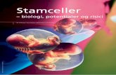 Stamceller - SCIENCE – Københavns Universitet · at fremstille genetisk modificerede dyr ved kloning. Dette er den dag i dag den gængse metode til at fremstille genetisk modificerede