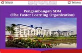 Pengembangan SDM (The Faster Learning Organization) · 1. Pengantar Pengembangan SDM 2. Teori, Prinsip dan Proses Pembelajaran 3. Penilaian Kebutuhan Pengembangan SDM 4. Pendekatan