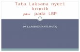 PowerPoint Presentation€¦ · PPT file · Web viewTata Laksana nyeri kronik fokus pada LBP DR L.LAKSMIASANTI SP S(K) (Continued from previous notes section) Pharmacotherapy is