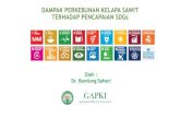 DAMPAK PERKEBUNAN KELAPA SAWIT TERHADAP …sdgcenter.unpad.ac.id/wp-content/uploads/2018/12/Bandung-Sahari... · Persebaran Produksi Kelapa Sawit di Indonesia (46,2 Juta Ton) 31.7