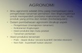 AGRONOMI - dastekben.files.wordpress.com · Sukun (Artocarpus communis FORST) Talas (Colocasia esculenta SCHOTT) Ganyong (Canna edulisKER) Huwi sawu - yam ... •Pemasaran hasil dan