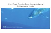 Identifikasi Spesies Tuna dan Sejenisnya Di Samudera Hindia · Kartu identifikasi ini diproduksi oleh Direktorat Jenderal Perikanan Tangkap (DJPT) dengan mengacu pada Kartu ... meningkatkan