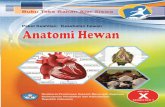 Anatomi ewan 1 - bse.mahoni.combse.mahoni.com/data/2013/kelas_10smk/Kelas_10_SMK_Anatomi_Hewan_1.pdf · DAFTAR GAMBAR Halaman Gambar 1. Sel hewan dan organ penyusunn ya ..... 9 Gambar