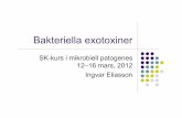 SK-kurs i mikrobiell patogenes 12–16 ... - Mikrobiologi.net · Tetanus toxin (Clostridium tetani): !!Plasmidmedierat neurotoxin !!Extremt potent !!B-delen binder till neuroreceptorgangliosider