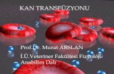 KAN TRANSFÜZYONU - cdn.istanbul.edu.trcdn.istanbul.edu.tr/FileHandler2.ashx?f=kan-bankasi---i.pdf · Intraseluler sıvı =40% Ekstraseluler sıvı=20% TOPLAM VÜCUT SIVISI CANLI