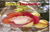 Layout SD18 - pustaka.dhammacitta.org Dharma/Sinar Dharma 18.pdf · - Debat Chan di Shaol. in ... dengan topik Peran Perempuan di dalam Sangha: ... apalagi pembahasannya dilakukan