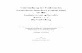 Untersuchung zur Funktion des Accumulation associated ...ediss.sub.uni-hamburg.de/volltexte/2010/4858/pdf/Dissertation_M... · Staphylokokken gehören zusammen mit den Gattungen Micrococcus