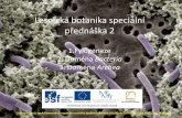 Lesnická botanika speciální přednáška 2xcepl/inobio/inovace/LBOTS/LSBOTS... · Antoni van Leeuwenhoek (mikroskop vlastní konstrukce) Bacterion = řecky tyčka(1. pozorované