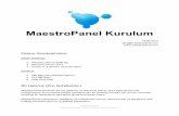 MaestroPanel Kurulum · MaestroPanel Kurulum 18.05.2013 ping@maestropanel.com  Sistem Gereksinimleri İşletim Sistemleri Windows Server 2008 R2 Windows Server 2012