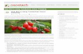 Home Tentang Kami Riset Bisnis Produk Mitra Hubungi kamibiofarmaka.ipb.ac.id/biofarmaka/2015/Artikel Nanotech Herbal - Goji... · Wolfberry, yang umumnya dikenal sebagai Goji Berry