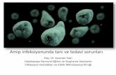 İNTESTİNAL AMİİYAZİS - anadoluissagligi.com · Entamoeba histolytica ... Asemptomatik olgular (sadece E.histolitica için) tek başına intraluminal bir ajanla tedavi edilebilir.