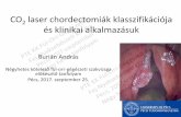 CO2 laser chordectomiák klasszifikációja és klinikai ...ent.pote.hu/4 hetes programterv 2017 szeptember_elemei/Dowload/CO2... · Glotticus tumorok - T stádium •T1: tu. a hsz-ra