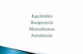 Együttélés Kooperáció Mutualizmus Szimbiózisplantsys.elte.hu/oktatas/Evollepes/EvolGen_Szimbiozis_2015.pdf · 3. Partnerek hűség visszacsatolás. • hosszú távú interakció,