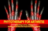PHYTOTHERAPY FOR ARTHRITIS - oktaviarahayu.lecture.ub.ac.id · Capaian Pembelajaran (Mahasiswa mampu … •memahami gejala dan kondisi osteoarthritis, RA, dan gout •memahami jenis