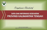 KATA PENGANTAR - depkes.go.id · dalam menelaah keadaan kesehatan yang ada di Provinsi Kalimantan Tengah maupun kabupaten/kota di ... Angka Kematian Bayi di Indonesia, ...