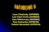 Lupus - diaharrazy.files.wordpress.com · Luna Chairindy (10705022) Lusi Putri Dwita (10705058) Uma Maheswary (10705064) Feny Jasmaniar (10705105) Yohana Bernadeth (10705124)
